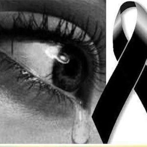 Meet your Posher, Bertha